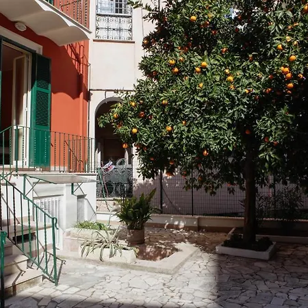Pisa Ξενοδοχείο